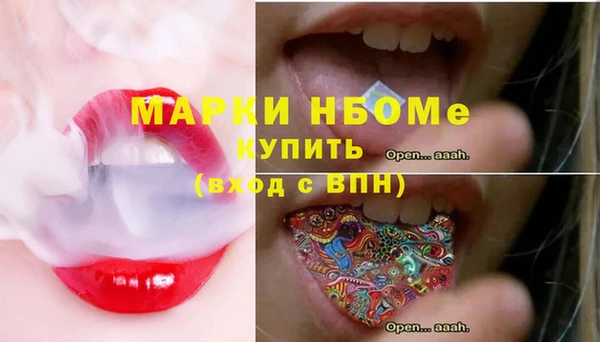 дурь Няндома