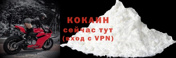 гашик Арсеньев