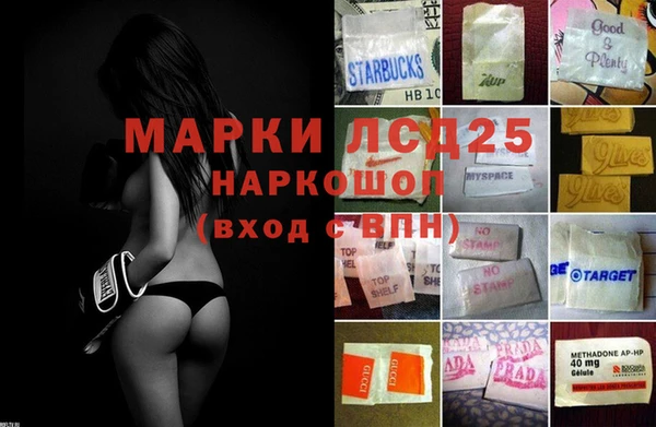 гашик Арсеньев