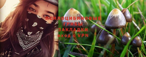 дурь Няндома